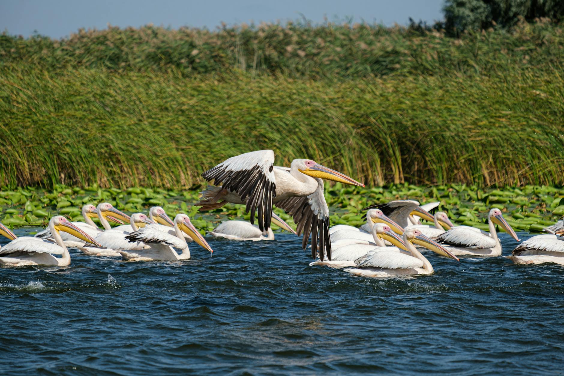 Botswana — landmark