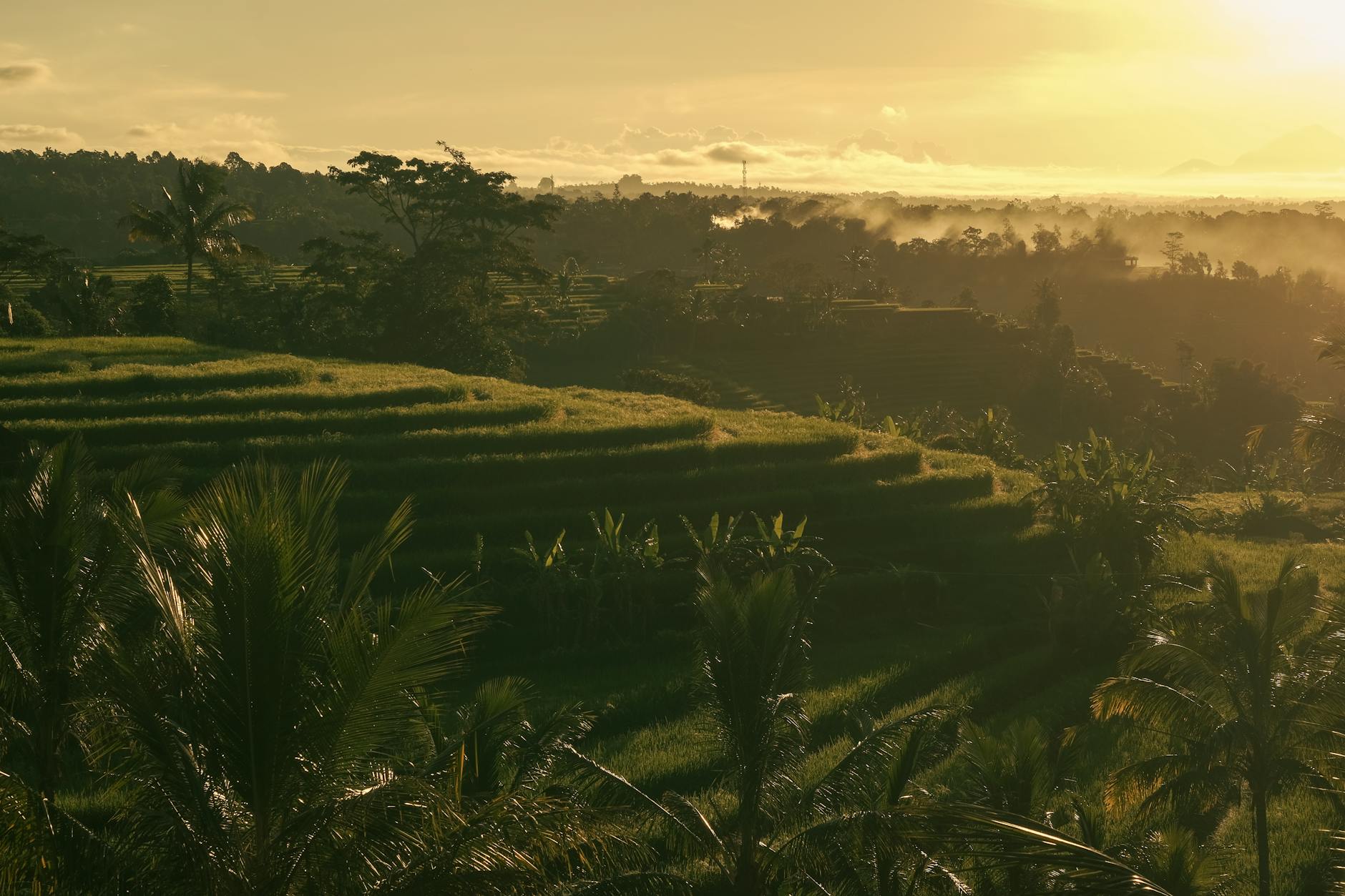 Indonesia — landmark