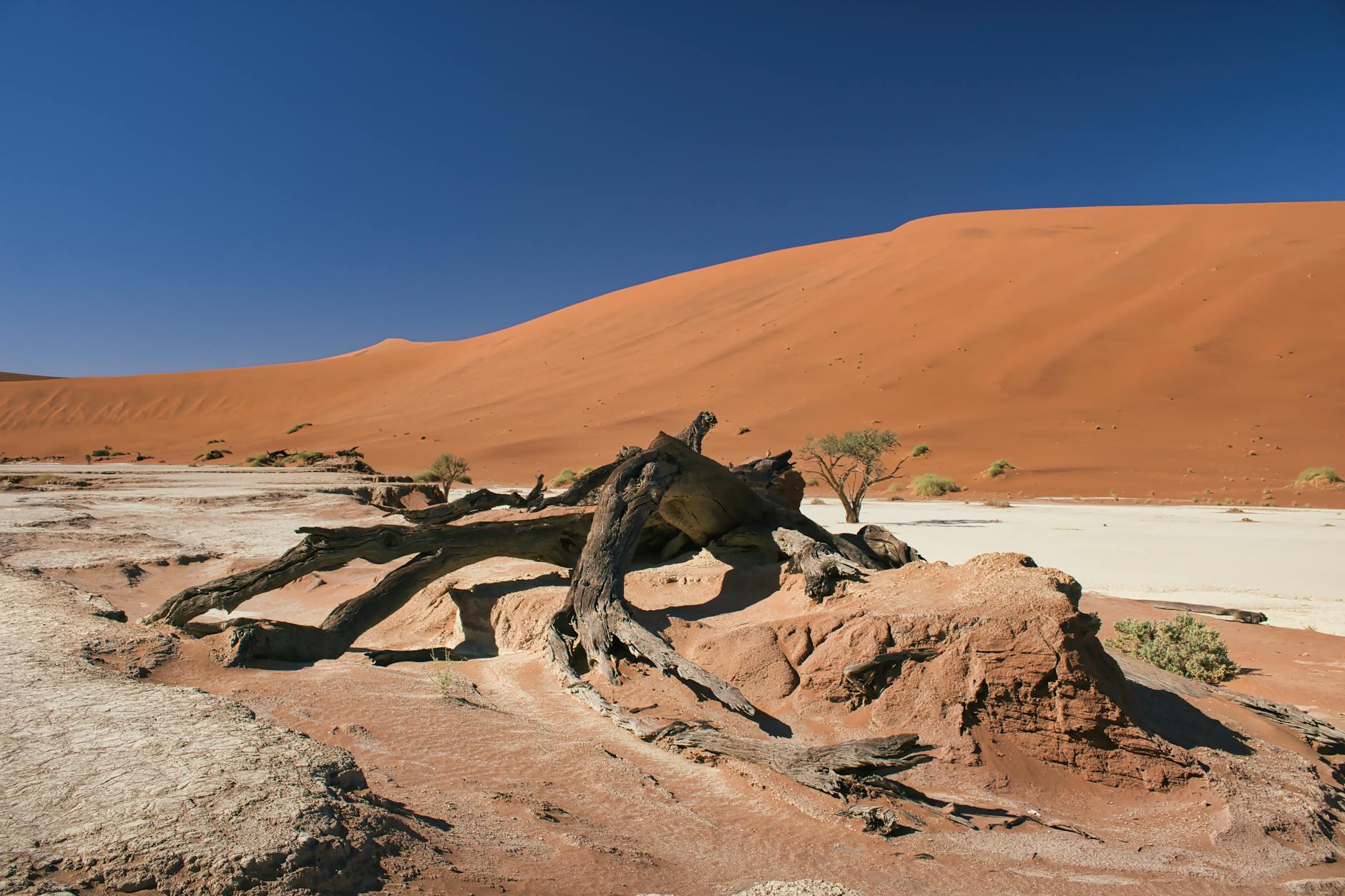 Namibia — landmark