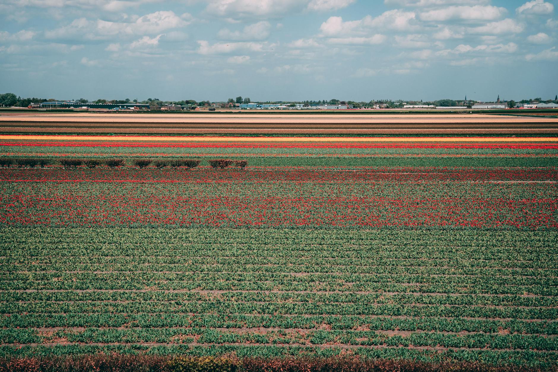 Moving to the Netherlands: Expat Guide (2026)