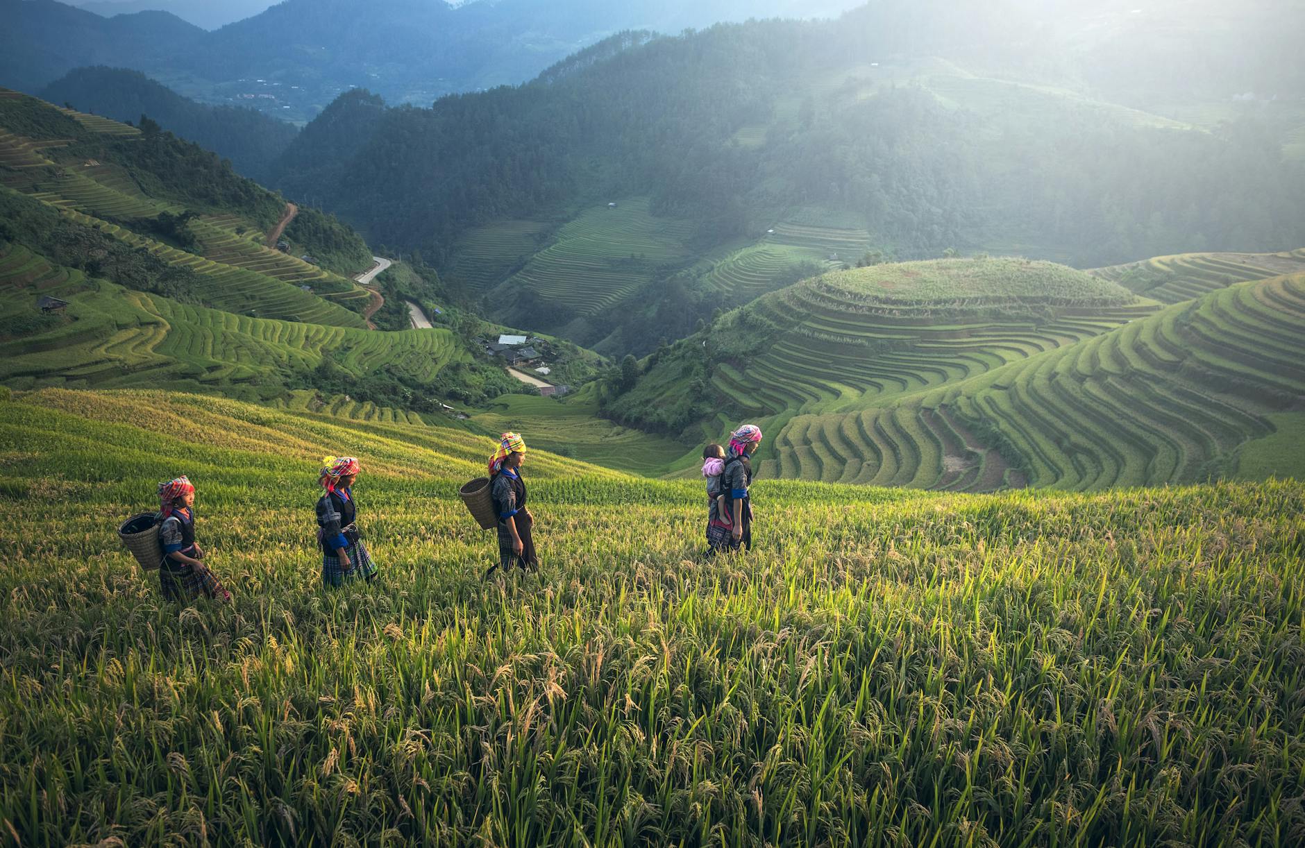 Vietnam — landmark